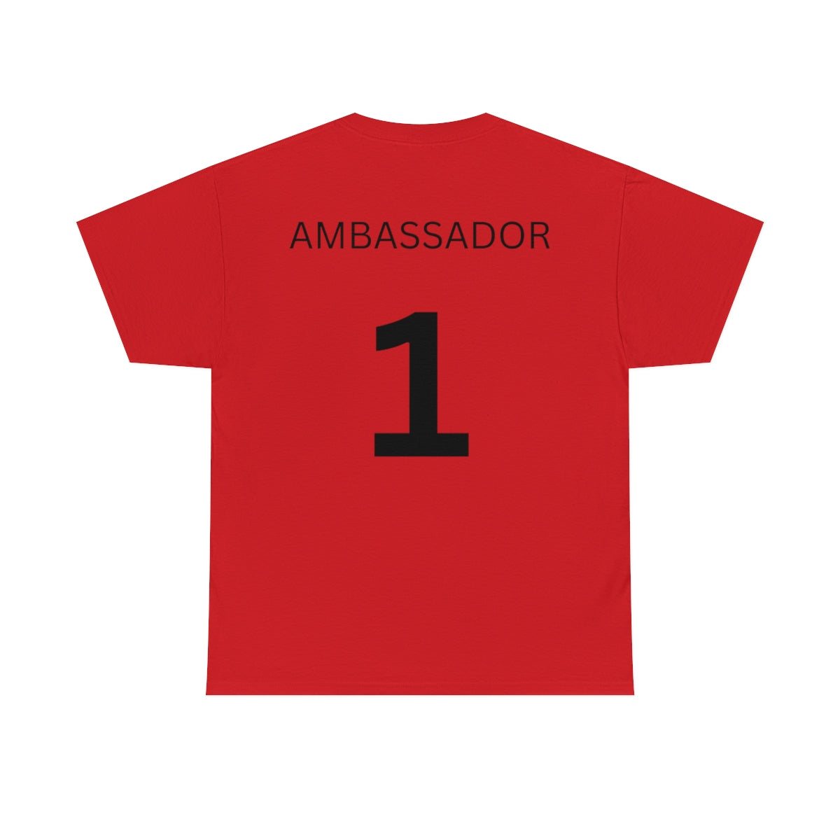 Warden International Standard Issue - Ambassador back