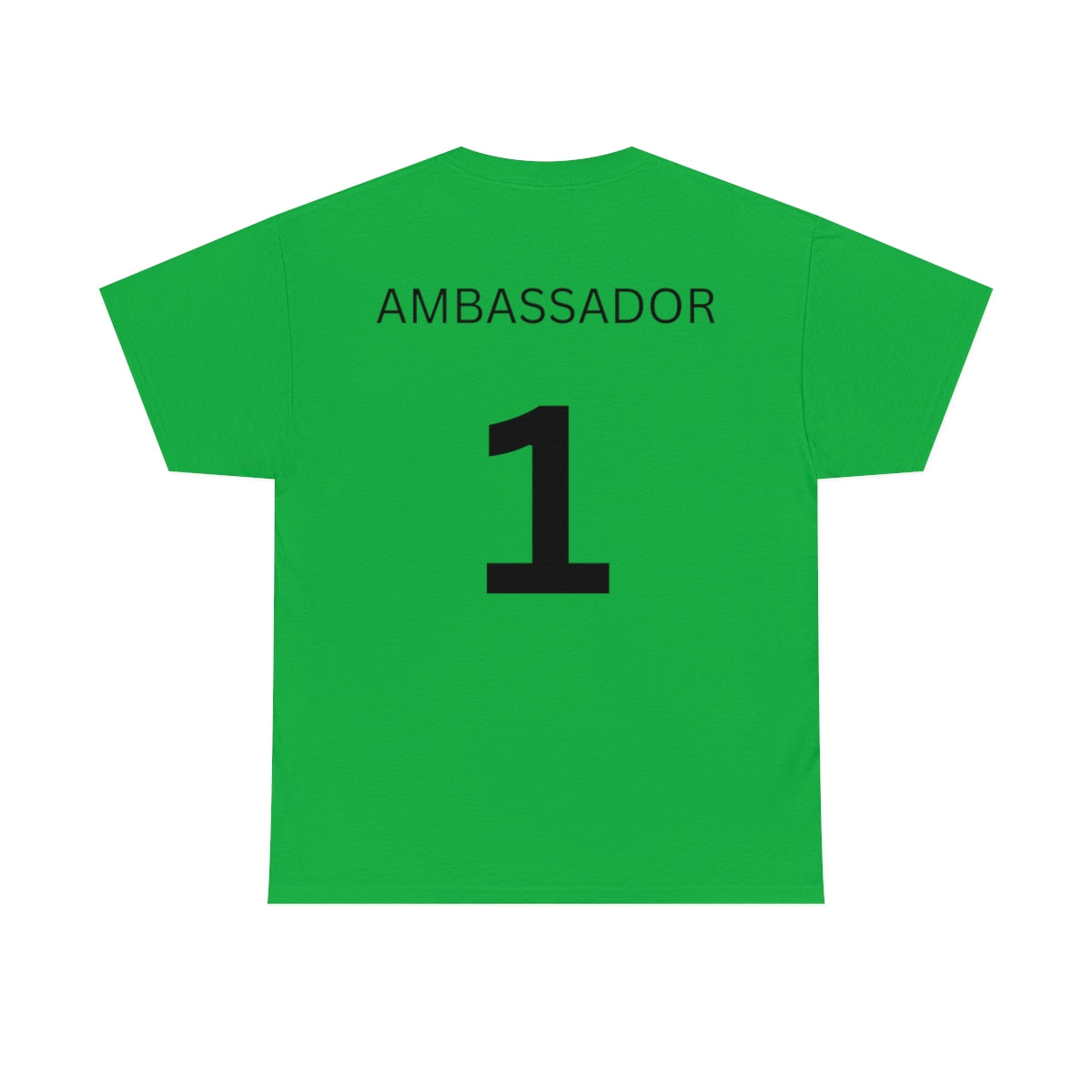 Warden International Standard Issue - Ambassador back