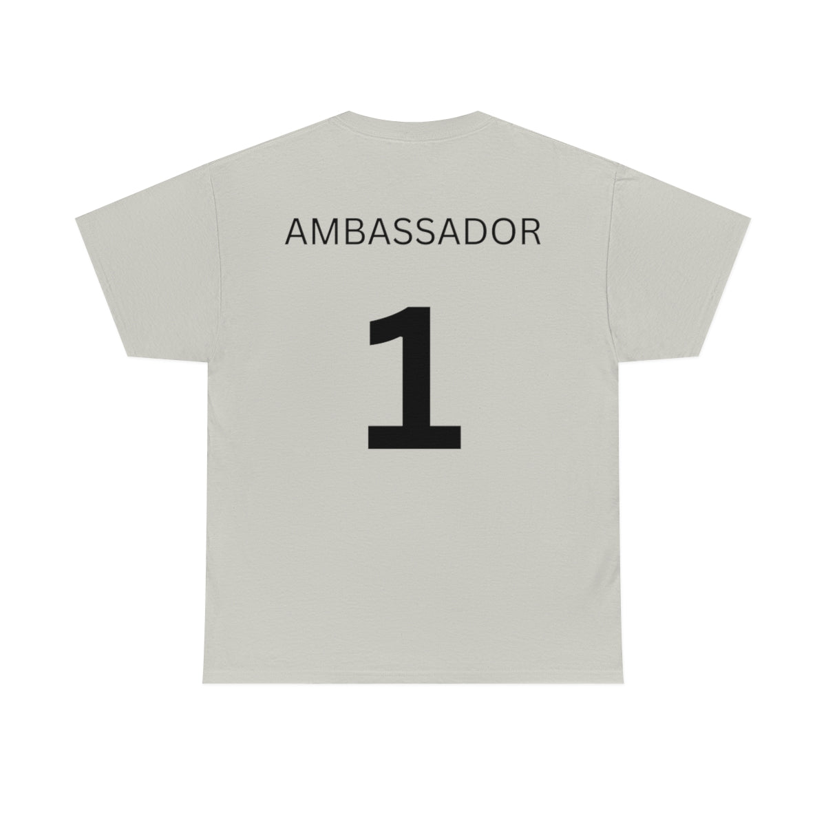 Warden International Standard Issue - Ambassador back